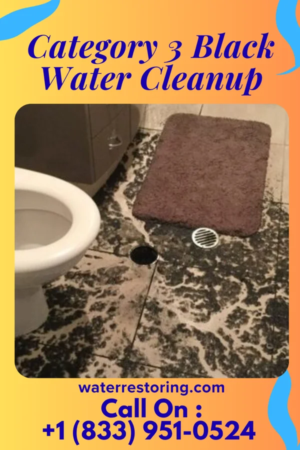 Category 3 Black Water Cleanup in Reeder, ND