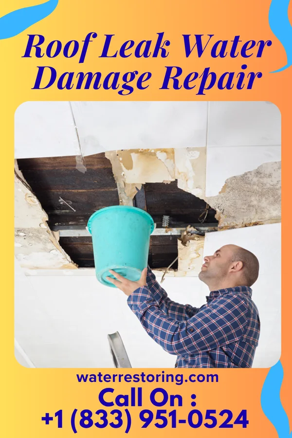 Roof Leak Water Damage Repair in Reeder, ND